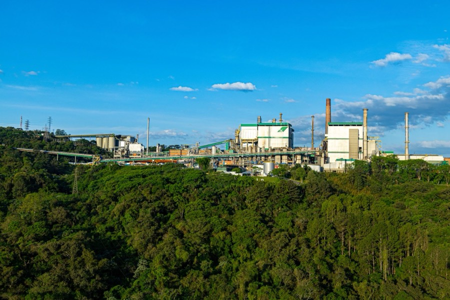 Packaging and folding carton production